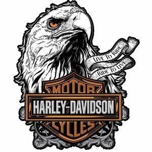 Harley-Davidson Eagle Emblem Wall Art in Black and Orange